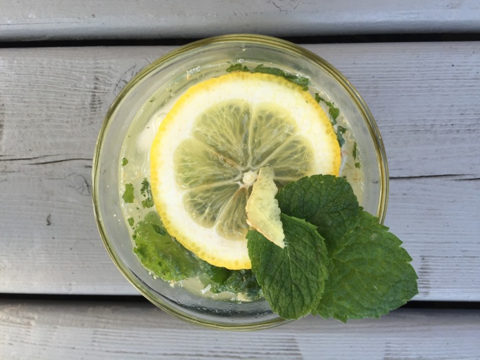 Citrus Mint Sparkling Water Recipe